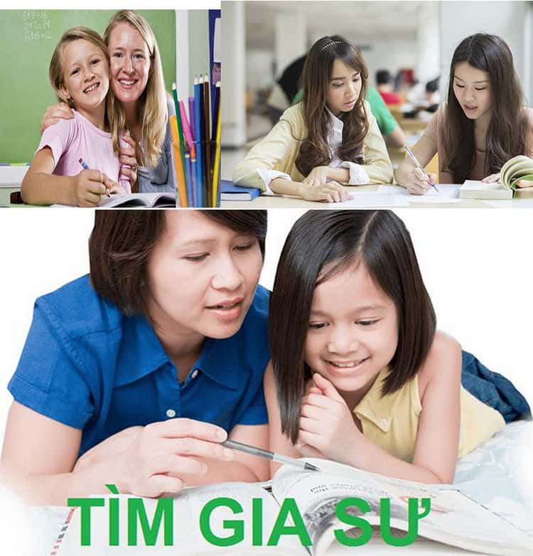 dạy kèm cấp 2